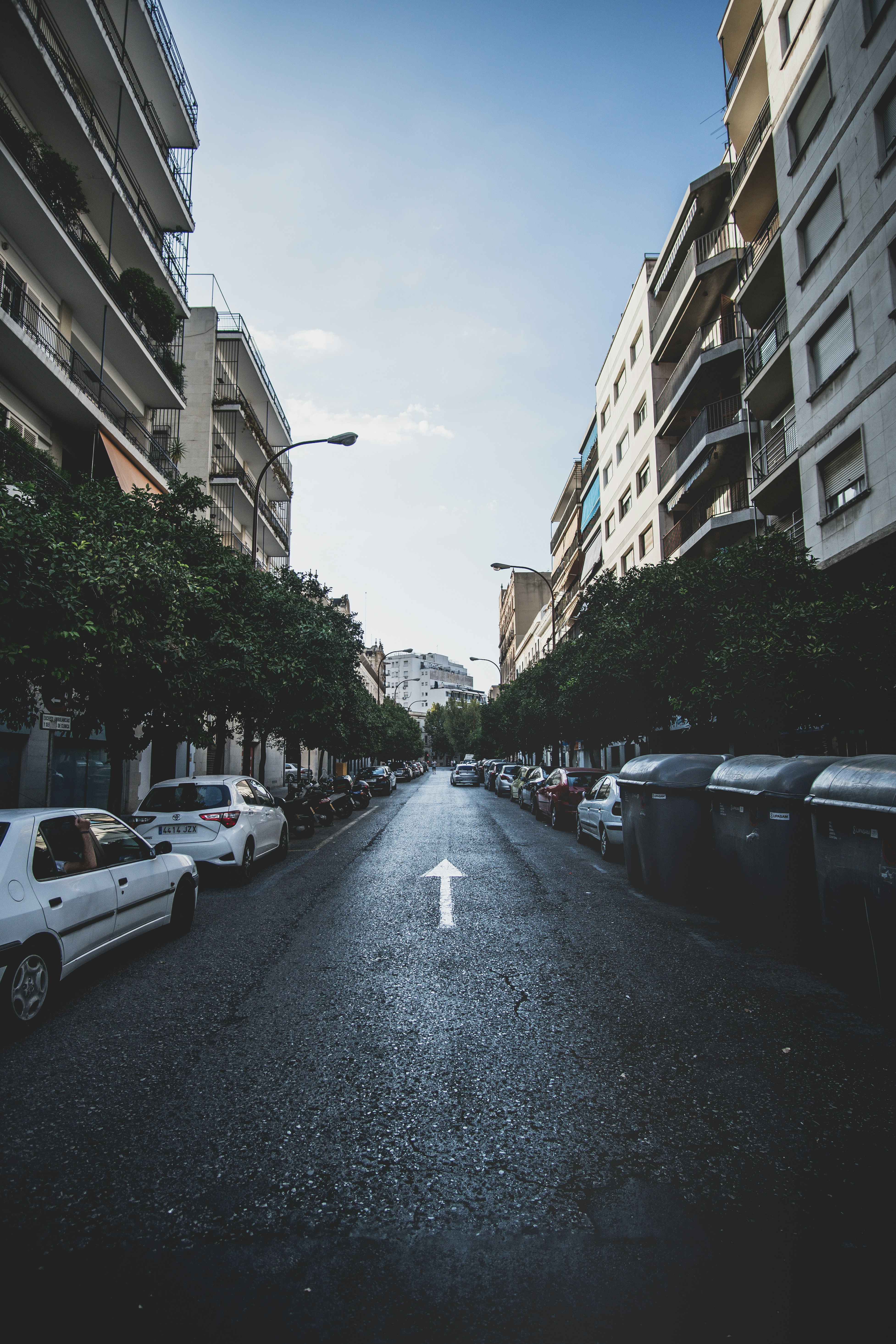 cars parked beside trees at road near concrete buildings at daytime